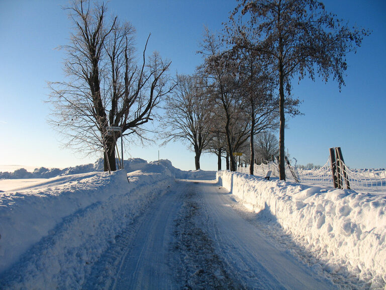 Winter in Kleinolbersdorf (Nachbargut)